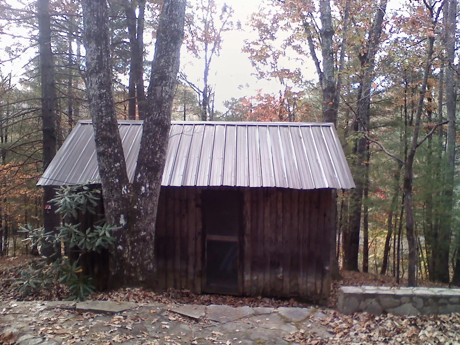 New metal gable roof on a small log shed among the trees in Elizabeth